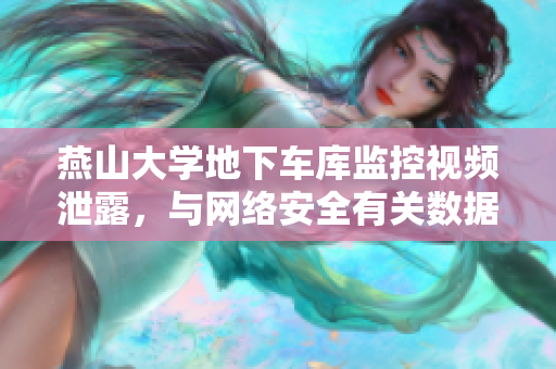 燕山大学地下车库监控视频泄露，与网络安全有关数据可能遭遇泄露风险。