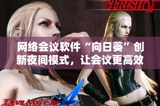 网络会议软件“向日葵”创新夜间模式，让会议更高效
