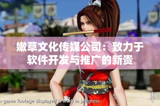 嫩草文化传媒公司：致力于软件开发与推广的新贵