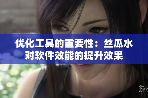 优化工具的重要性：丝瓜水对软件效能的提升效果