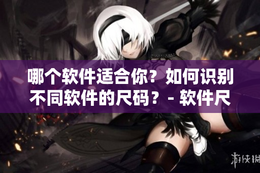 哪个软件适合你？如何识别不同软件的尺码？- 软件尺码比较指南