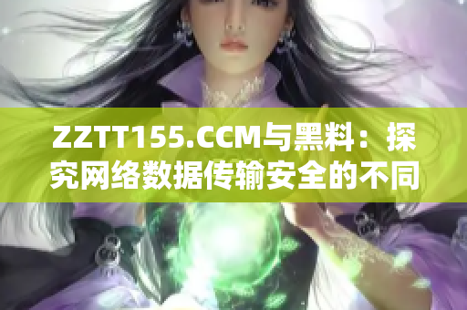 ZZTT155.CCM与黑料：探究网络数据传输安全的不同路径