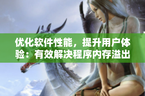 优化软件性能，提升用户体验：有效解决程序内存溢出问题