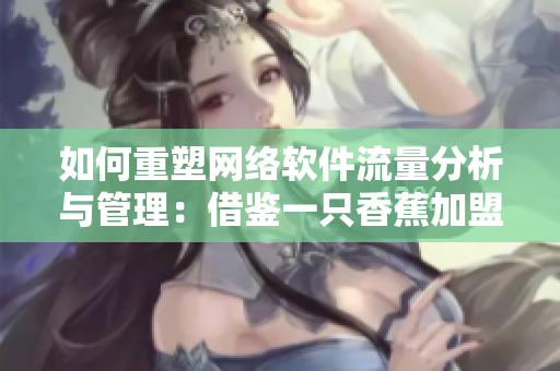 如何重塑网络软件流量分析与管理：借鉴一只香蕉加盟模式