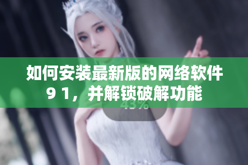 如何安装最新版的网络软件9 1，并解锁破解功能