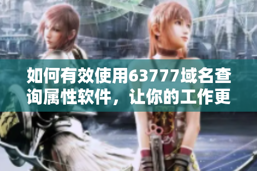 如何有效使用63777域名查询属性软件，让你的工作更高效