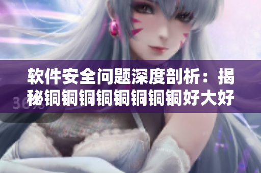 软件安全问题深度剖析：揭秘铜铜铜铜铜铜铜铜好大好深板