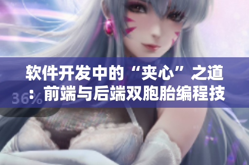 软件开发中的“夹心”之道：前端与后端双胞胎编程技术