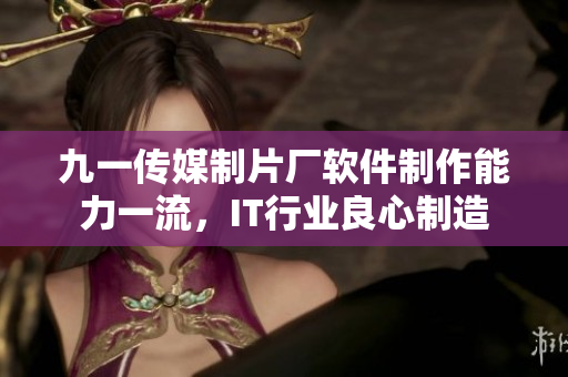 九一传媒制片厂软件制作能力一流，IT行业良心制造