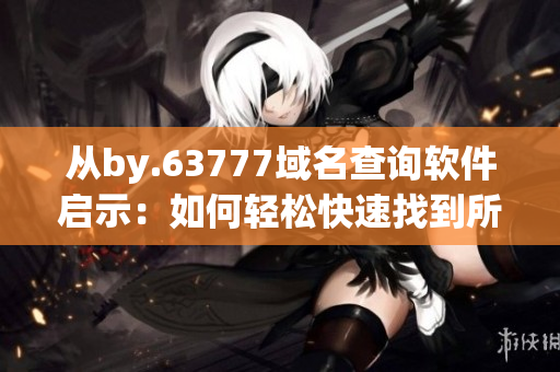 从by.63777域名查询软件启示：如何轻松快速找到所需资源