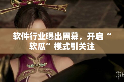 软件行业曝出黑幕，开启“软瓜”模式引关注