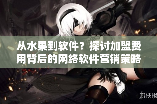 从水果到软件？探讨加盟费用背后的网络软件营销策略
