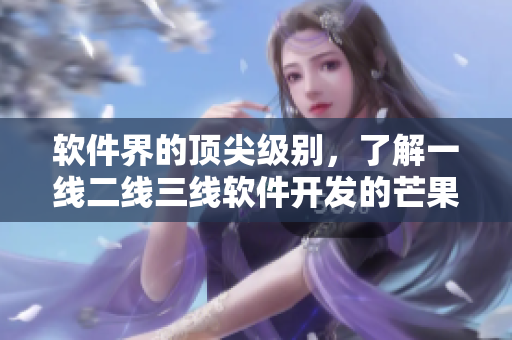 软件界的顶尖级别，了解一线二线三线软件开发的芒果指南