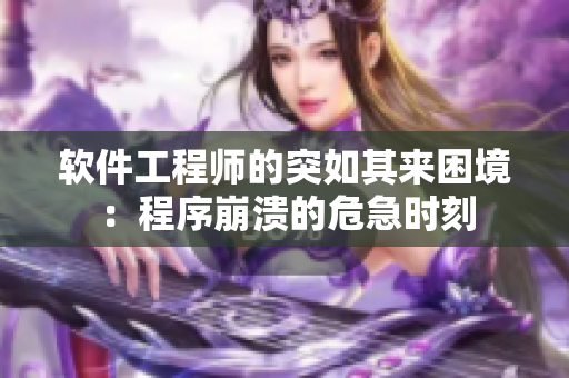 软件工程师的突如其来困境：程序崩溃的危急时刻