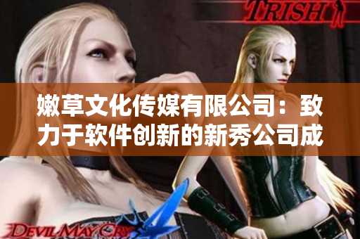 嫩草文化传媒有限公司：致力于软件创新的新秀公司成立于何时