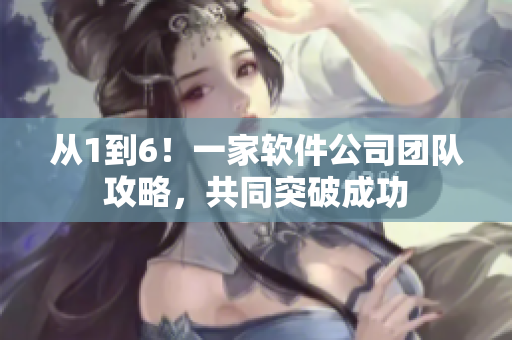 从1到6！一家软件公司团队攻略，共同突破成功