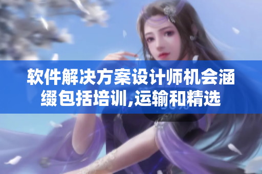 软件解决方案设计师机会涵缀包括培训,运输和精选