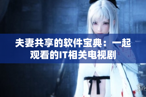 夫妻共享的软件宝典：一起观看的IT相关电视剧