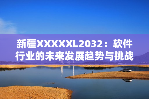 新疆XXXXXL2032：软件行业的未来发展趋势与挑战