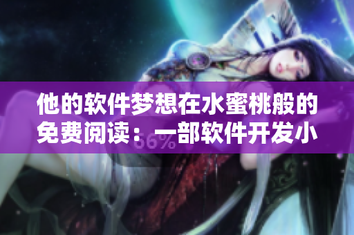 他的软件梦想在水蜜桃般的免费阅读：一部软件开发小说