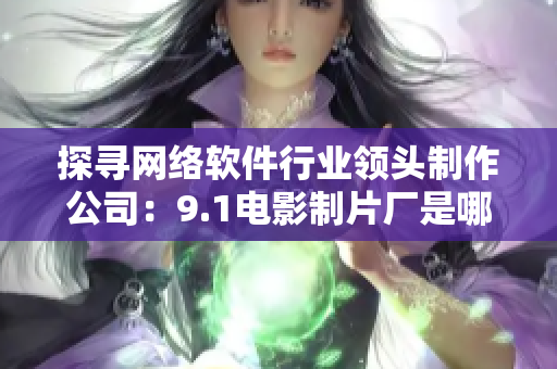 探寻网络软件行业领头制作公司：9.1电影制片厂是哪家？