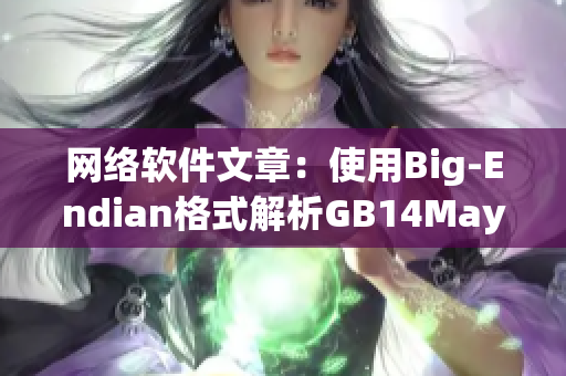 网络软件文章：使用Big-Endian格式解析GB14May18文件头数据
