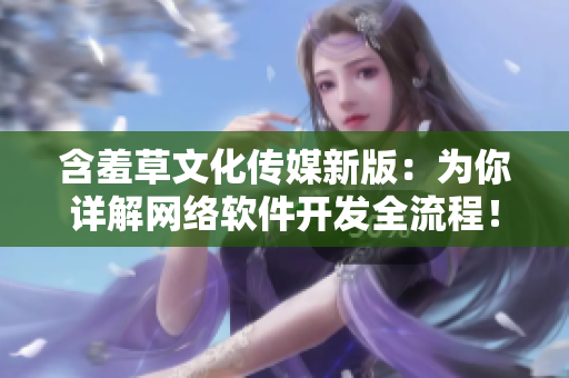 含羞草文化传媒新版：为你详解网络软件开发全流程！