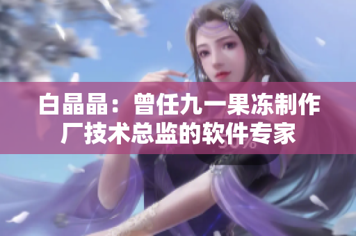 白晶晶：曾任九一果冻制作厂技术总监的软件专家