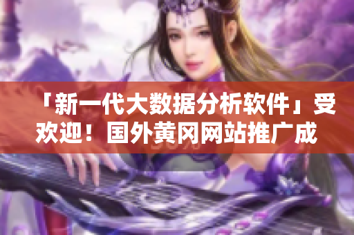 「新一代大数据分析软件」受欢迎！国外黄冈网站推广成功之秘密