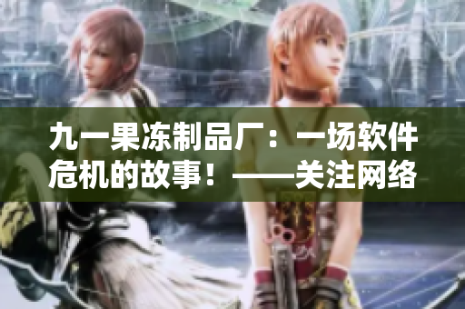 九一果冻制品厂：一场软件危机的故事！——关注网络安全的必看电视剧