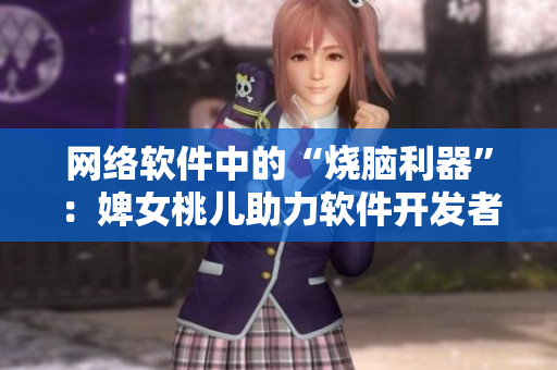 网络软件中的“烧脑利器”：婢女桃儿助力软件开发者