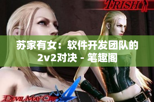 苏家有女：软件开发团队的2v2对决 - 笔趣阁