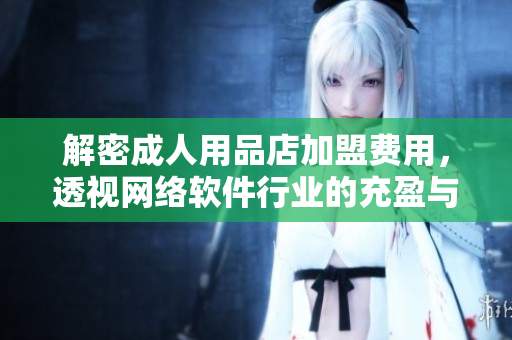 解密成人用品店加盟费用，透视网络软件行业的充盈与困境