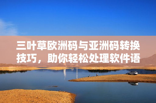 三叶草欧洲码与亚洲码转换技巧，助你轻松处理软件语言编码