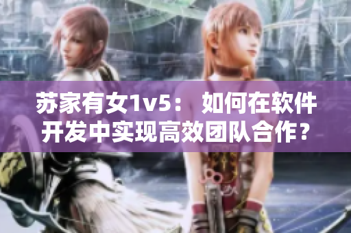苏家有女1v5： 如何在软件开发中实现高效团队合作？