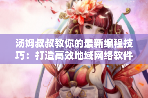 汤姆叔叔教你的最新编程技巧：打造高效地域网络软件！