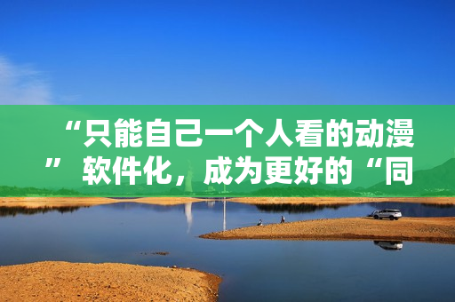 “只能自己一个人看的动漫” 软件化，成为更好的“同步观看器”