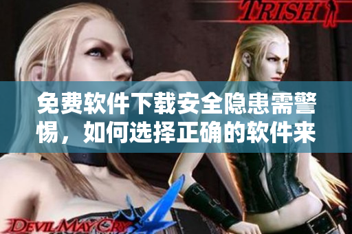 免费软件下载安全隐患需警惕，如何选择正确的软件来源提升安全保障