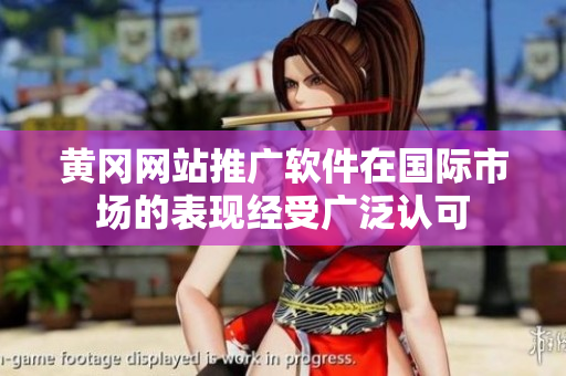 黄冈网站推广软件在国际市场的表现经受广泛认可