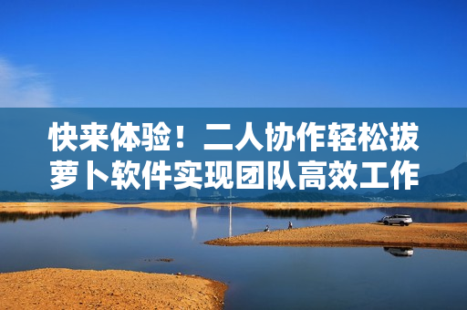 快来体验！二人协作轻松拔萝卜软件实现团队高效工作