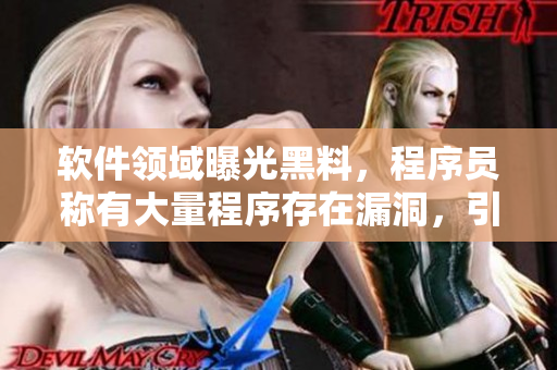 软件领域曝光黑料，程序员称有大量程序存在漏洞，引发热议