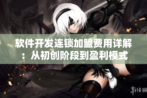 软件开发连锁加盟费用详解：从初创阶段到盈利模式