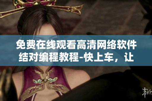 免费在线观看高清网络软件结对编程教程-快上车，让我们做兄弟吧