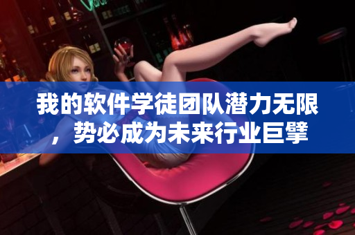 我的软件学徒团队潜力无限，势必成为未来行业巨擘