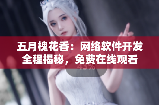 五月槐花香：网络软件开发全程揭秘，免费在线观看