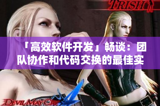 「高效软件开发」畅谈：团队协作和代码交换的最佳实践