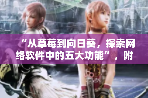 “从草莓到向日葵，探索网络软件中的五大功能”，附带留言反馈