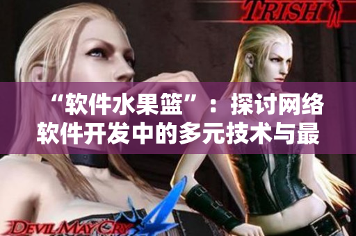 “软件水果篮”：探讨网络软件开发中的多元技术与最佳实践
