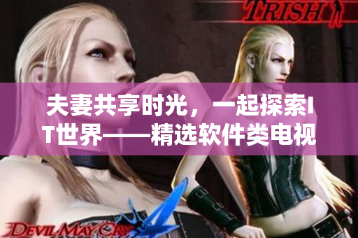 夫妻共享时光，一起探索IT世界——精选软件类电视剧推荐