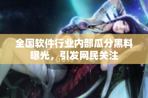 全国软件行业内部瓜分黑料曝光，引发网民关注